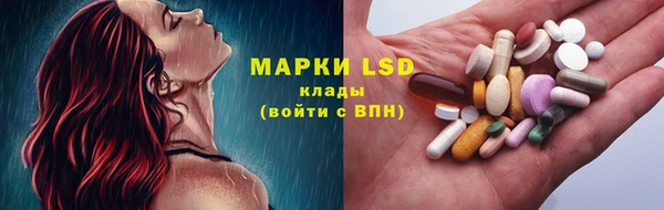 хмурый Абаза