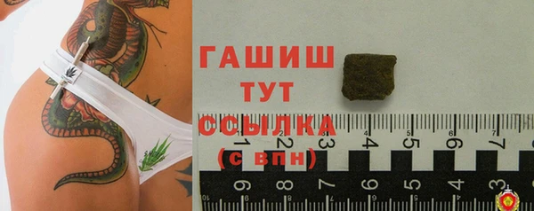 хмурый Абаза