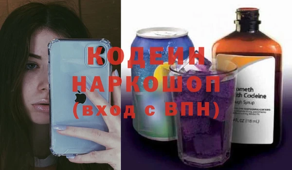 хмурый Абаза
