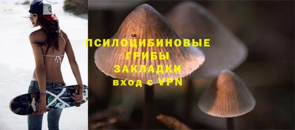 эйфоретик Алексеевка