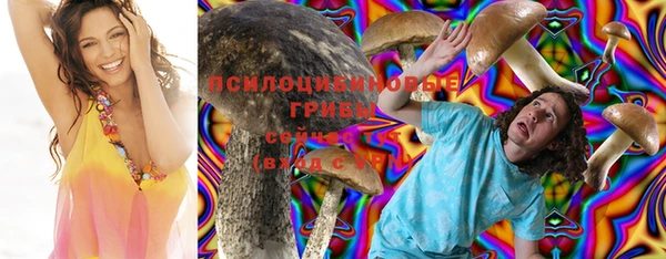 эйфоретик Алексеевка