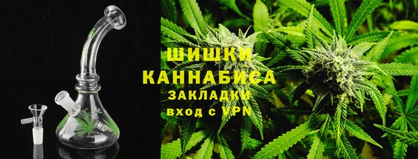 хмурый Абаза