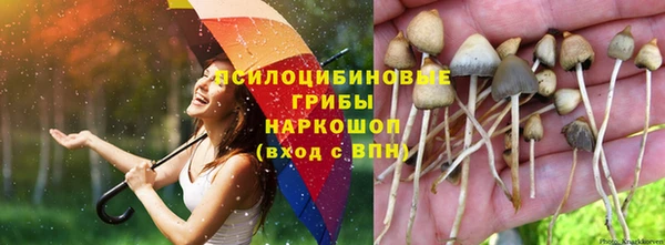 эйфоретик Алексеевка