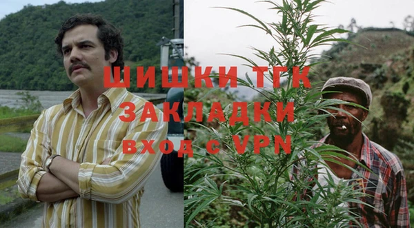 молекула духа Абинск