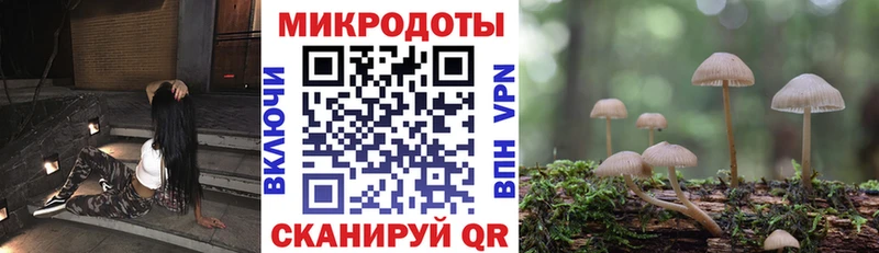 Псилоцибиновые грибы ЛСД даркнет сайт маркетплейс телеграм Узловая