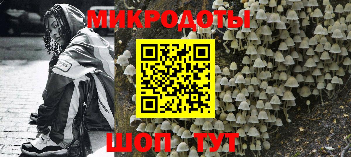 Узловая  Галлюциногенные грибы мицелий  Псилоцибиновые грибы Magic Shrooms  Вход с VPN 