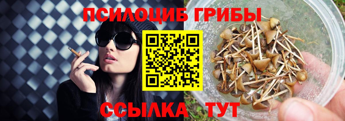 Галлюциногенные грибы Cubensis Узловая